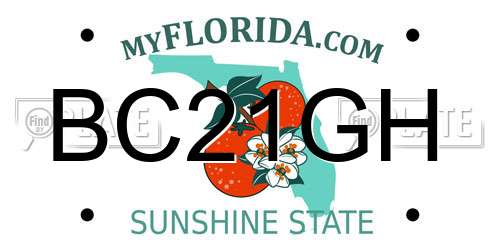BC21GH Florida License Plate