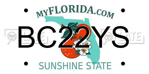 BC22YS Florida License Plate