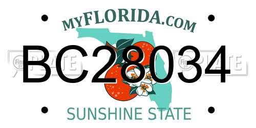 BC28034 Florida License Plate