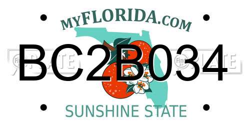 BC2B034 Florida License Plate