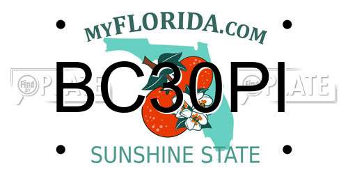 BC30PI Florida License Plate