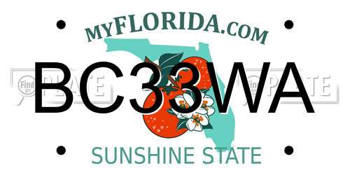 BC33WA Florida License Plate