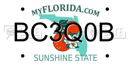 BC3Q0B Florida License Plate