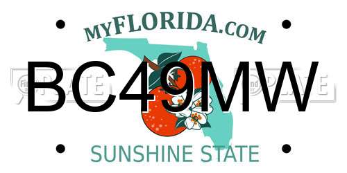 BC49MW Florida License Plate