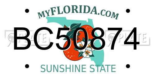 BC50874 Florida License Plate