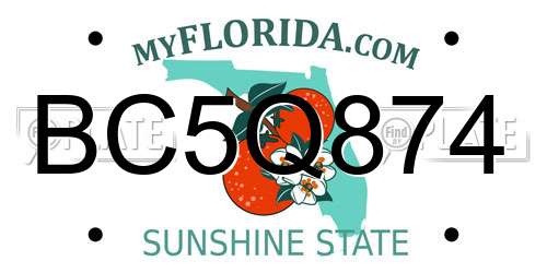 BC5Q874 Florida License Plate