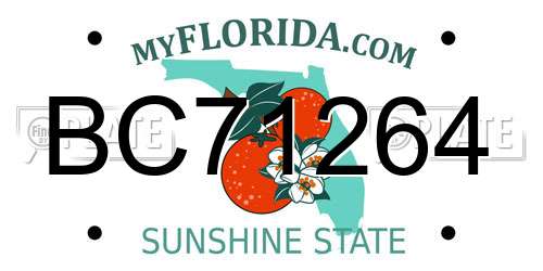 BC71264 Florida License Plate