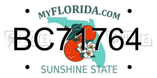 BC71764 Florida License Plate