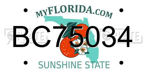 BC75034 Florida License Plate