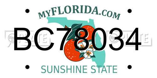 BC78034 Florida License Plate