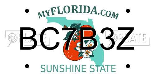 BC7B3Z Florida License Plate