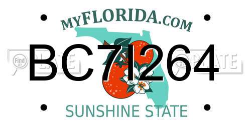 BC7I264 Florida License Plate