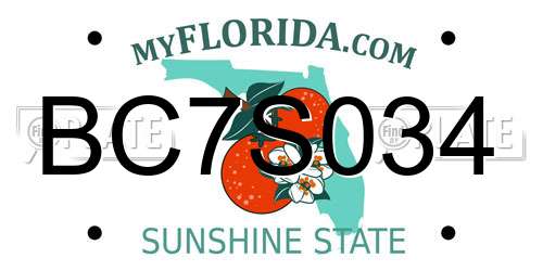BC7S034 Florida License Plate