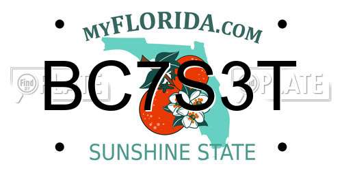 BC7S3T Florida License Plate