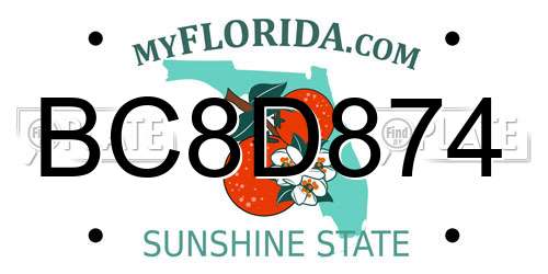BC8D874 Florida License Plate