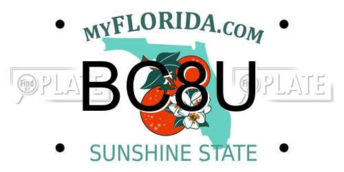 BC8U Florida License Plate