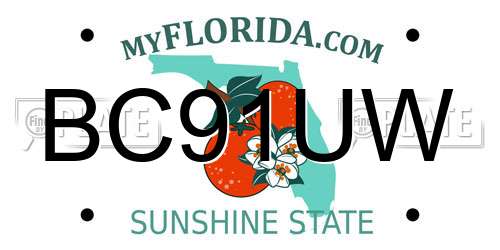 BC91UW Florida License Plate