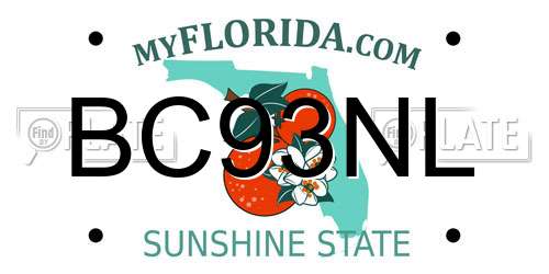 BC93NL Florida License Plate