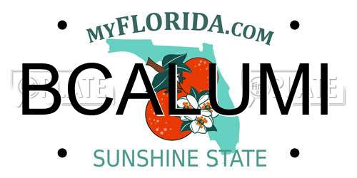 BCALUMI Florida License Plate
