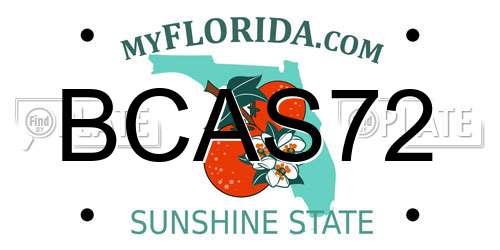 BCAS72 Florida License Plate