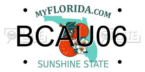 BCAU06 Florida License Plate
