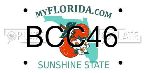 BCC46 Florida License Plate