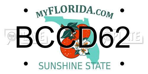BCCD62 Florida License Plate