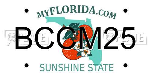 BCCM25 Florida License Plate