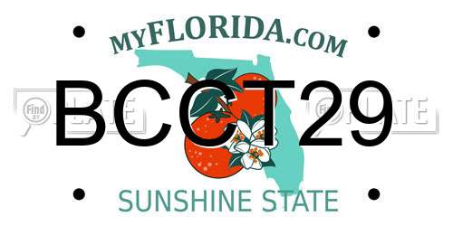 BCCT29 Florida License Plate