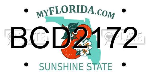 BCD2172 Florida License Plate