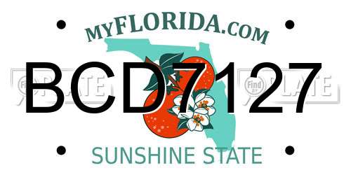 BCD7127 Florida License Plate