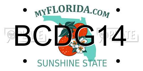 BCDG14 Florida License Plate