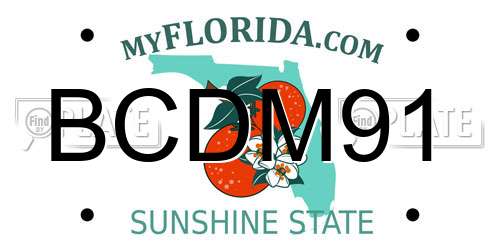 BCDM91 Florida License Plate