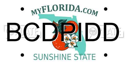 BCDPIDD Florida License Plate