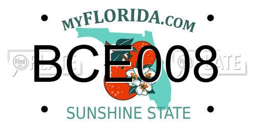 BCE008 Florida License Plate