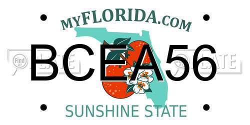 BCEA56 Florida License Plate
