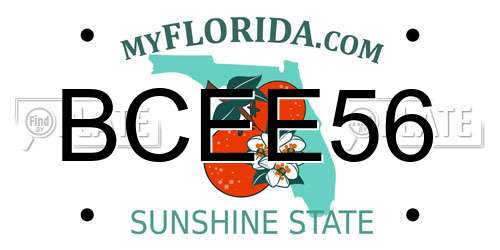 BCEE56 Florida License Plate
