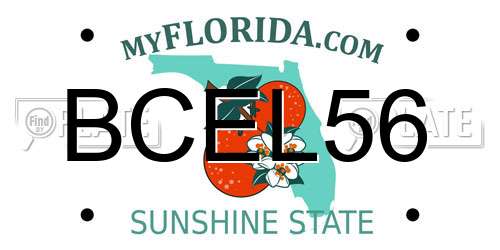 BCEL56 Florida License Plate