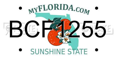BCF1255 Florida License Plate
