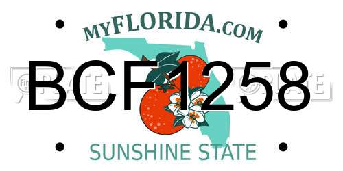 BCF1258 Florida License Plate
