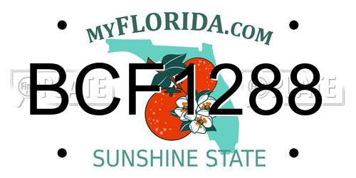 BCF1288 Florida License Plate