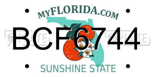 BCF6744 Florida License Plate