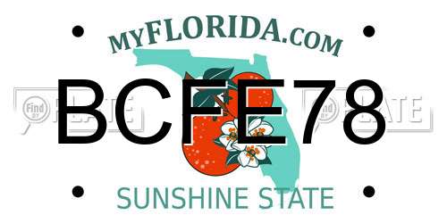 BCFE78 Florida License Plate