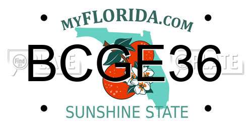 BCGE36 Florida License Plate