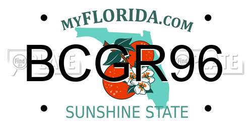 BCGR96 Florida License Plate