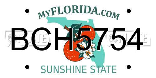 BCH5754 Florida License Plate