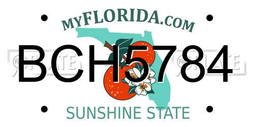 BCH5784 Florida License Plate