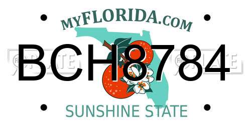 BCH8784 Florida License Plate