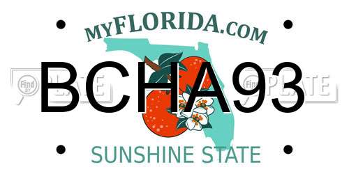 BCHA93 Florida License Plate