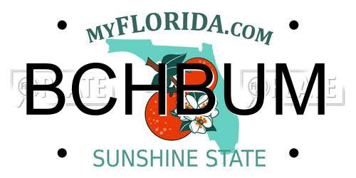 BCHBUM Florida License Plate